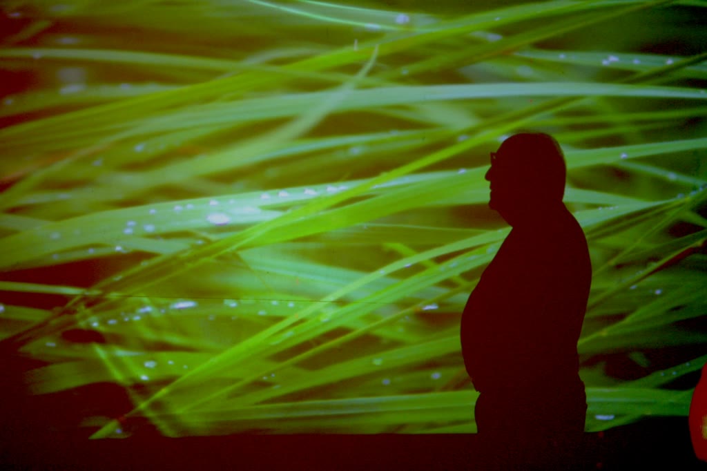 placeholder image-sq