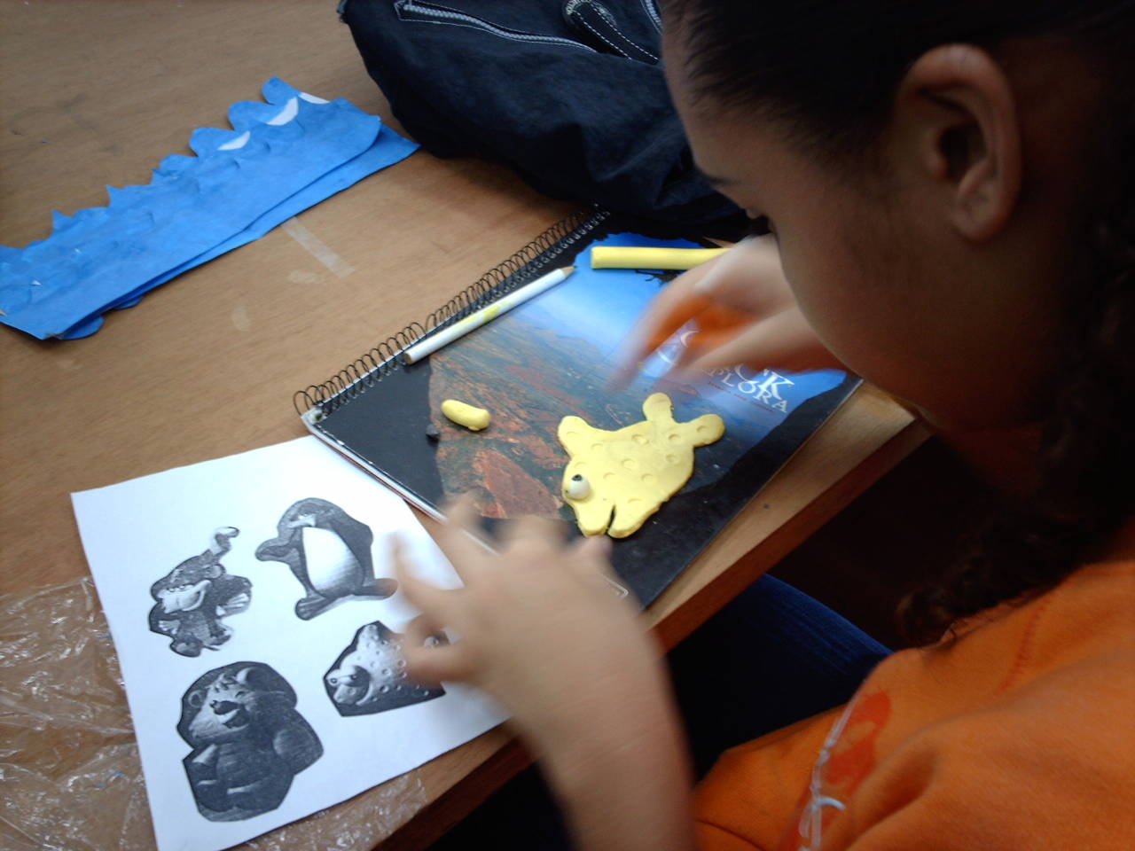 Amparo_Socorro_Diadema_00001